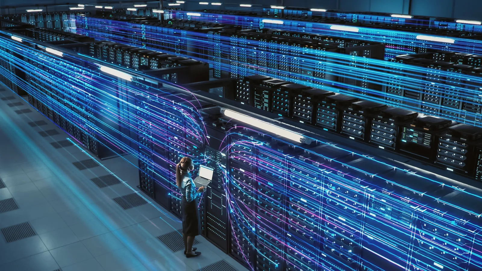 Data Management Agent
